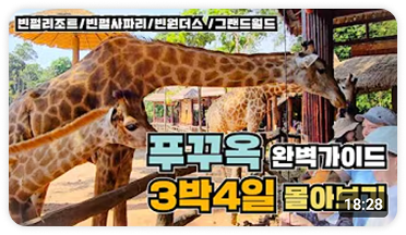 영상